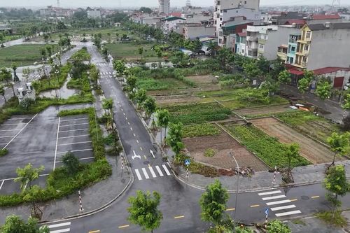 Hơn 200 ha đất tái định cư phục vụ dự án xây cầu