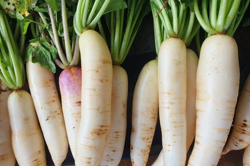 Ba loại thực phẩm tốt cho gan mà ít người biết