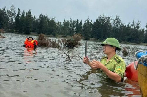 Hà Tĩnh: ra quân ngăn chặn săn bắt chim di cư mùa mưa bão