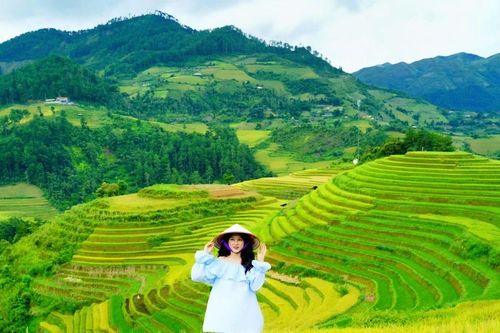 24 giờ ở Mù Cang Chải, chọn điểm nào để ngắm trọn mùa vàng?