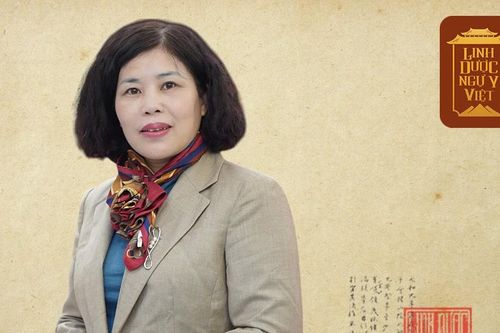 Chân dung nữ ứng viên giáo sư duy nhất ngành Dược học