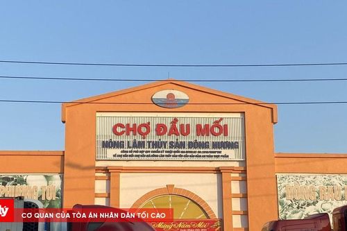Khởi tố Giám đốc Công ty cổ phần đầu tư và xây dựng Bình Minh