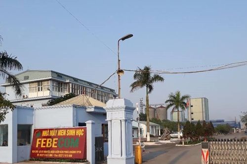 Hồi kết của công ty làm nhà máy thức ăn chăn nuôi nhưng tự ý sản xuất rượu