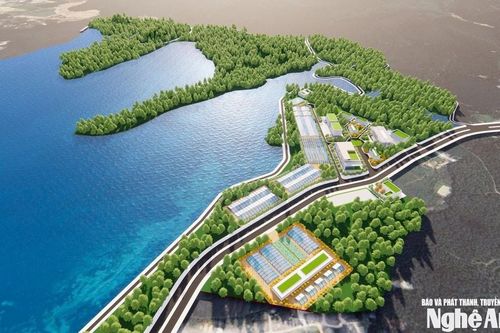 Cơ hội và động lực bứt phá mới trong chế biến gỗ và lâm sản ở Nghệ An