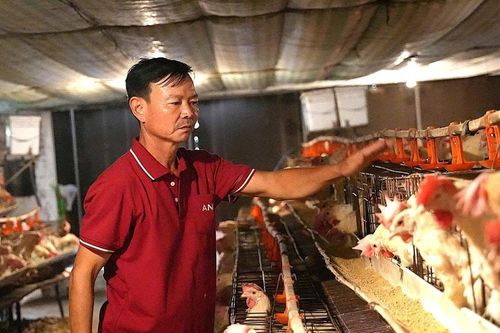 Bước đi khác biệt của nông dân Việt Nam xuất sắc Trần Xuân Sơn