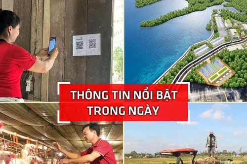 Nghệ An: Thông tin nổi bật trong ngày 14/9