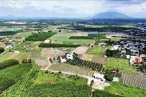 Đồng Nai khởi sắc sau hợp nhất, hướng tới nông thôn kiểu mẫu