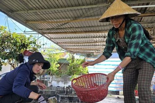 Săn con 'ăn tàn phá hoại', người nông dân kiếm tiền triệu mỗi ngày