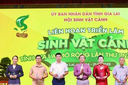 Hơn 5.000 tác phẩm trưng bày tại Liên hoan triển lãm sinh vật cảnh tỉnh Gia Lai