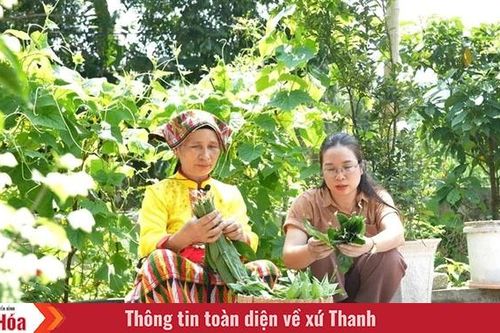 Xôi ngũ sắc - câu chuyện của những chiếc lá