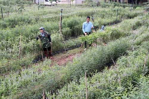 Khởi nghiệp từ nền tảng số