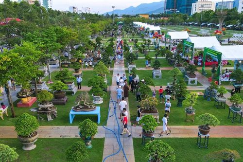 Lễ hội xanh giữa lòng phố biển