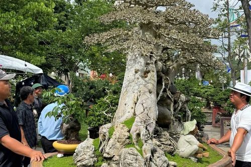 Khai mạc Liên hoan triển lãm sinh vật cảnh tỉnh Gia Lai mở rộng lần thứ I-2025
