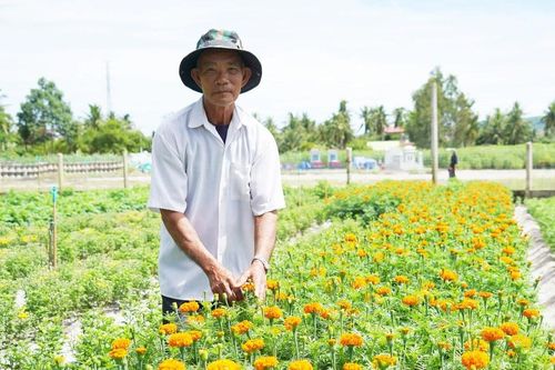 Biến vùng cát trắng thành 'thủ phủ hoa'