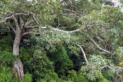 Khám phá Khu bảo tồn thiên nhiên Tà Kóu