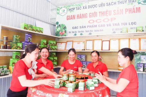 Nâng tầm vườn dược liệu