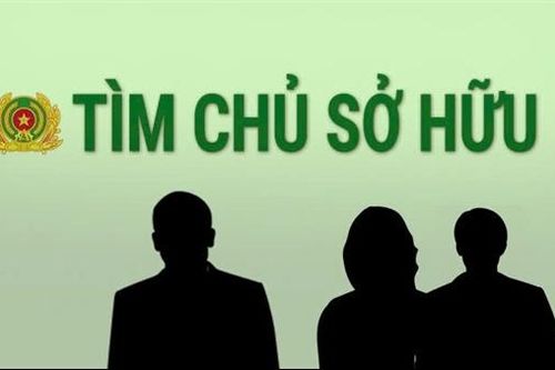 Tìm chủ sở hữu con trâu liên quan trong vụ tai nạn giao thông