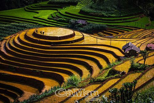 Qua miền Tây Bắc