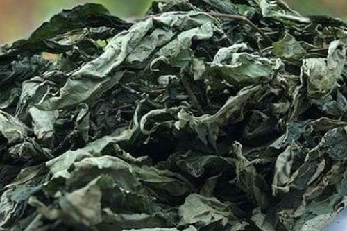 Việt Nam là nước sở hữu loại lá đắt đỏ bậc nhất thế giới, 150 triệu đồng mới mua được 1 kg lá sấy khô