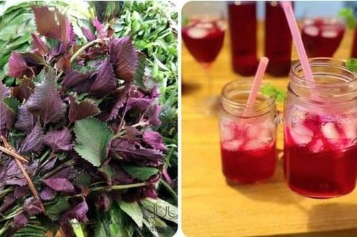 Loại lá giúp thải độc gan, quét sạch mỡ máu được bán đầy chợ Việt, mua chỉ 5k đủ dùng cho cả nhà