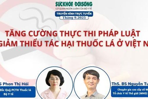 Truyền hình trực tuyến: Tăng cường thực thi pháp luật để giảm thiểu tác hại thuốc lá ở Việt Nam