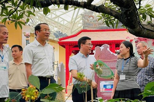 Quảng Ngãi: Nhận giải thưởng 'Không gian trưng bày tiêu biểu'