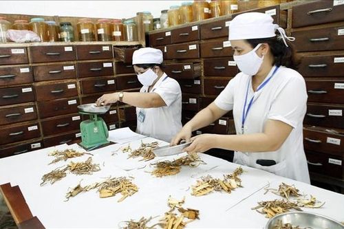 Phát huy hơn nữa vị thế, vai trò của y học cổ truyền trong chăm sóc sức khỏe nhân dân