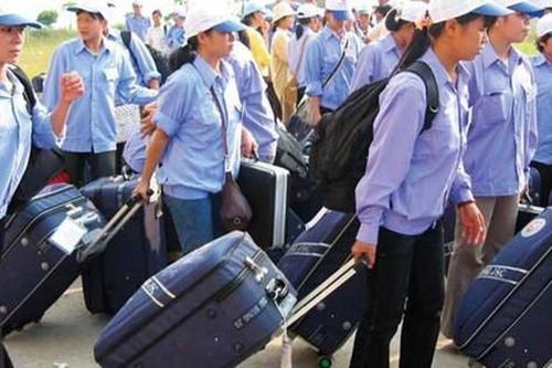 Đơn giản hóa TTHC về kinh doanh dịch vụ việc làm và đưa người lao động đi làm việc ở nước ngoài