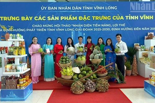 Vĩnh Long nhận diện tiềm năng, lợi thế và định hướng phát triển đến năm 2050