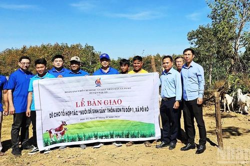 Thanh niên dân tộc thiểu số vươn lên từ mô hình nuôi dê sinh sản