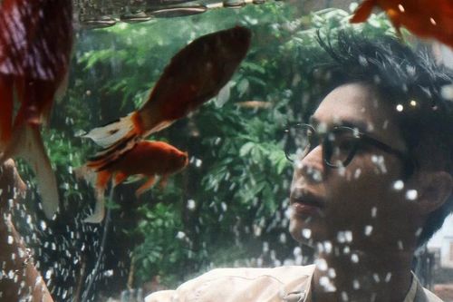 Bạn trẻ Sài Gòn 'mê mẩn' với cà phê thủy cung