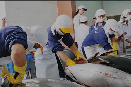 Bộ Công Thương lên tiếng trước nguy cơ Hoa Kỳ có thể dừng nhập khẩu một số loại thủy sản