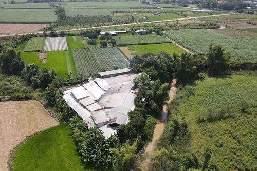Quảng Ngãi: Vì sao chưa xử lý 2 cơ sở chế biến mủ cao su trái phép quy mô 'khủng'?