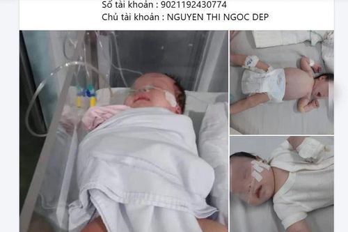 Hàng nghìn nhà hảo tâm sập bẫy fanpage giả mạo bệnh viện kêu gọi từ thiện