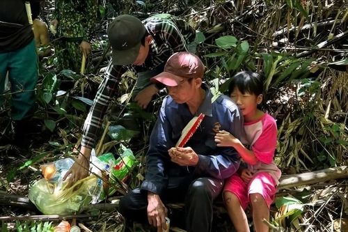 Tìm thấy người đàn ông trong rừng Cát Tiên sau hai ngày mất tích