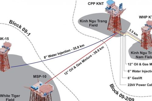 Dấu ấn Viện NIPI trong thành công của dự án Kình Ngư Trắng - Kình Ngư Trắng Nam