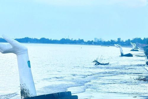 Cận cảnh 'cánh tay khổng lồ' trước khi bị di dời ở Thanh Hóa