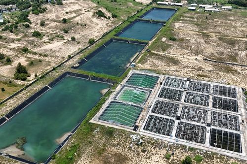 Trung tâm giống hải sản Nam Bộ: Xây dựng khang trang rồi bỏ hoang tiêu điều