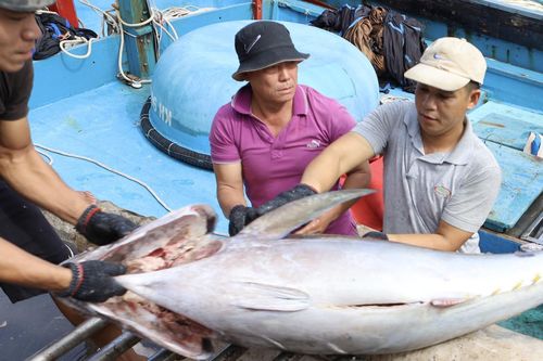 Một số hải sản nguy cơ bị dừng nhập vào Mỹ, Bộ trưởng Công Thương đề nghị 'cân nhắc lại'