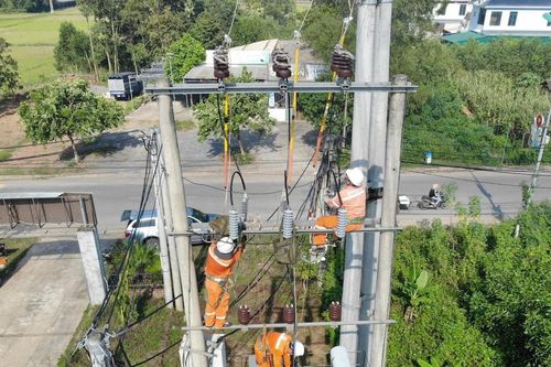 Công ty Điện lực Nghệ An ra quân giải phóng hành lang an toàn lưới điện cao áp, xử lý khiếm khuyết lưới điện