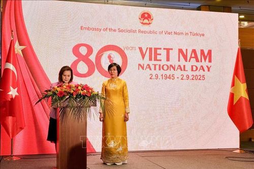 Thổ Nhĩ Kỳ mong muốn tăng cường quan hệ với Việt Nam