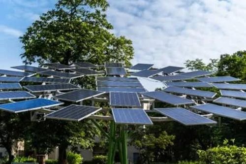 'Cây điện mặt trời' giúp bảo tồn 99% diện tích rừng so với trang trại năng lượng truyền thống
