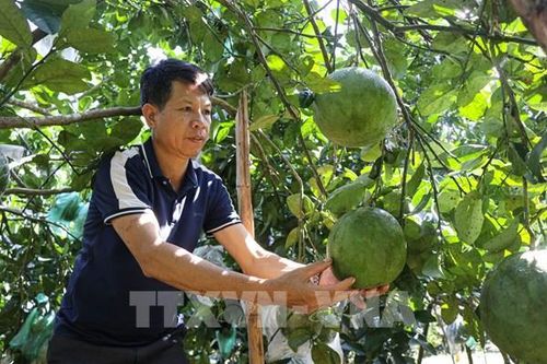 Người dân xã biên giới làm giàu nhờ mô hình kinh tế tổng hợp