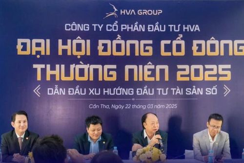 Công ty có vốn điều lệ hơn 100 tỷ đồng muốn làm sàn giao dịch tài sản số