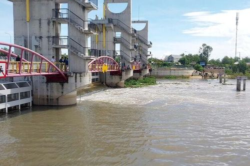 An Giang xả lũ cống Tha La và Trà Sư, bảo vệ sản xuất vùng tứ giác Long Xuyên