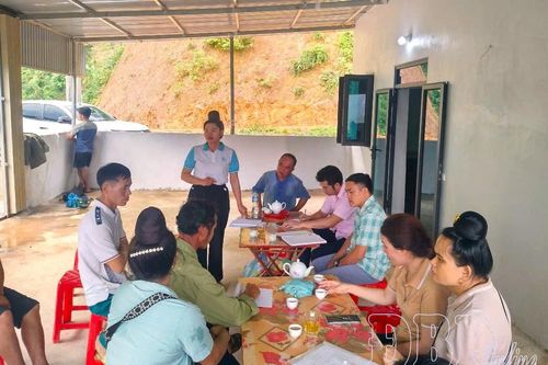 Phát huy vốn vay ưu đãi, tạo sinh kế cho người dân