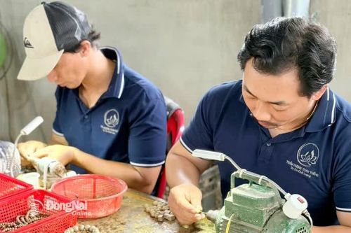 Dự kiến có 250 gian hàng tại Hội chợ triển lãm sản phẩm công nghiệp nông thôn tiêu biểu vùng Đông Nam Bộ
