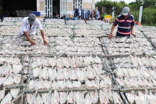 Về Làng nghề cá khô Gia Thuận