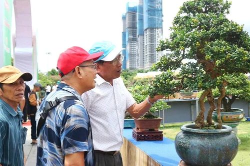Hội tụ nhiều tác phẩm độc đáo tại Liên hoan triển lãm sinh vật cảnh tỉnh Gia Lai mở rộng lần thứ I