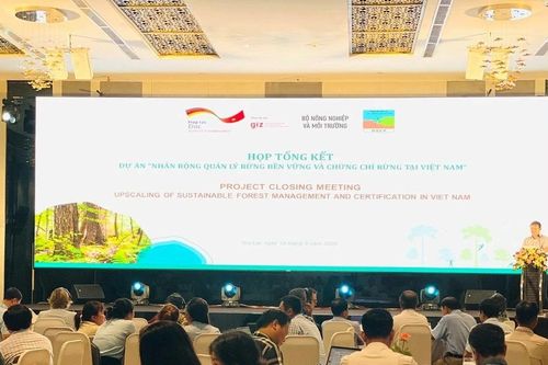 Tổng kết dự án nhân rộng quản lý rừng bền vững và chứng chỉ rừng